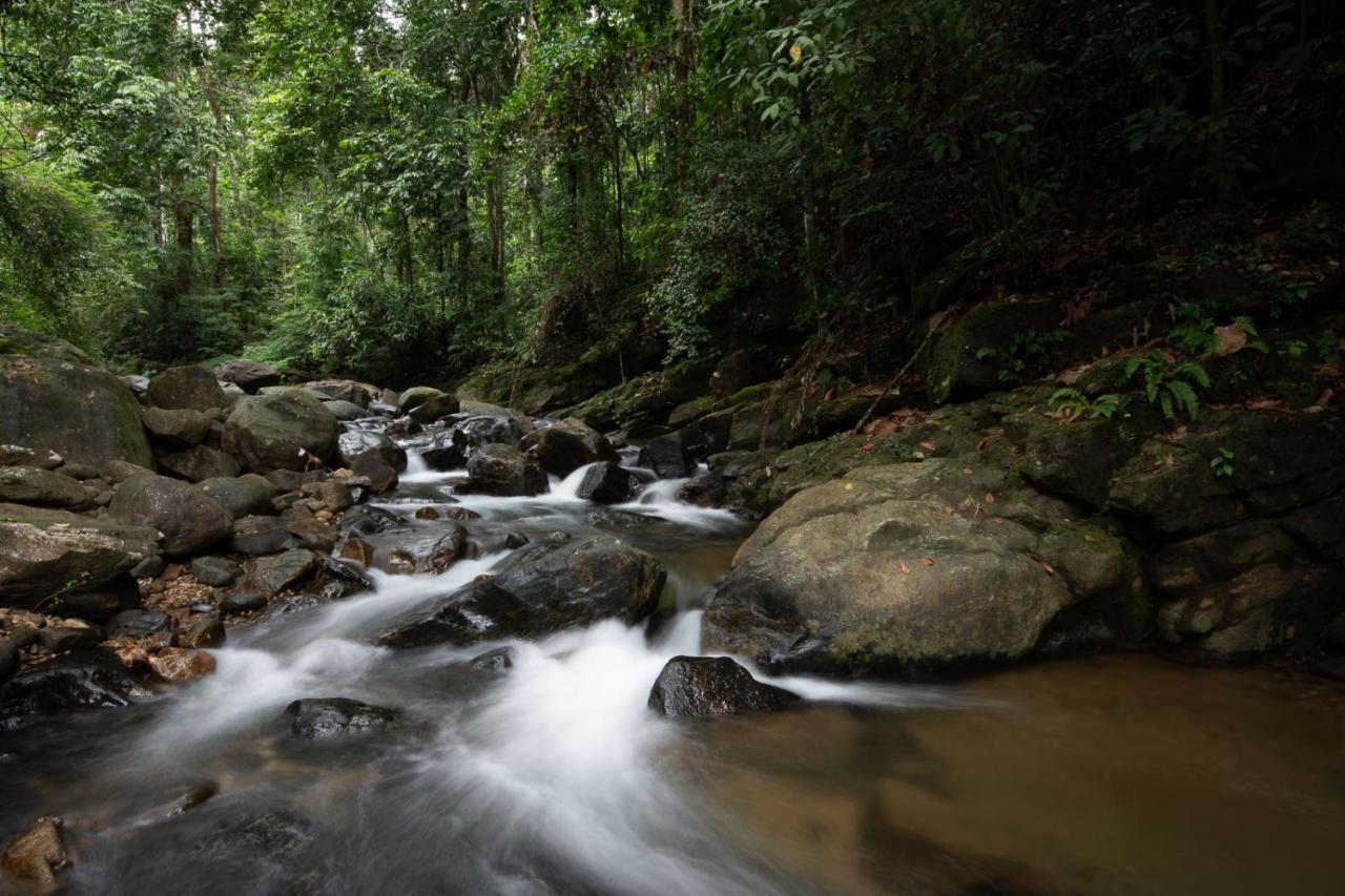 Moksha At Kitulgala - Rainforest Boutique Hotel Bagian luar foto